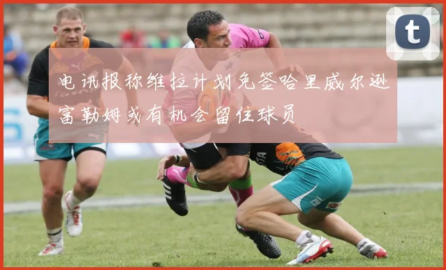电讯报称维拉计划免签哈里威尔逊富勒姆或有机会留住球员