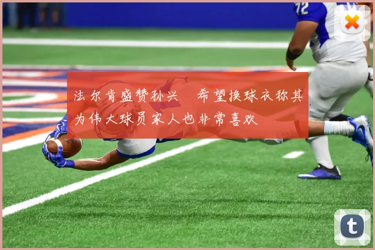 法尔肯盛赞孙兴慜希望换球衣称其为伟大球员家人也非常喜欢